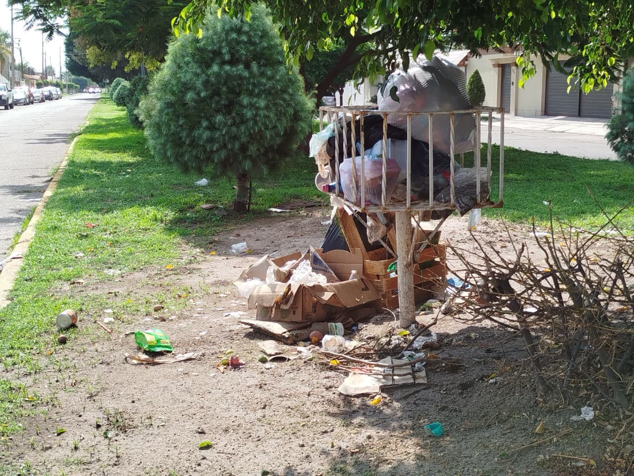 Vecinos de Bellavista denuncian acumulación de basura en áreas verdes y ...